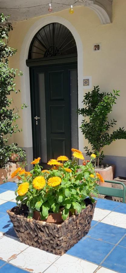 Il Giardino Del Gallo Cherasco Exterior foto