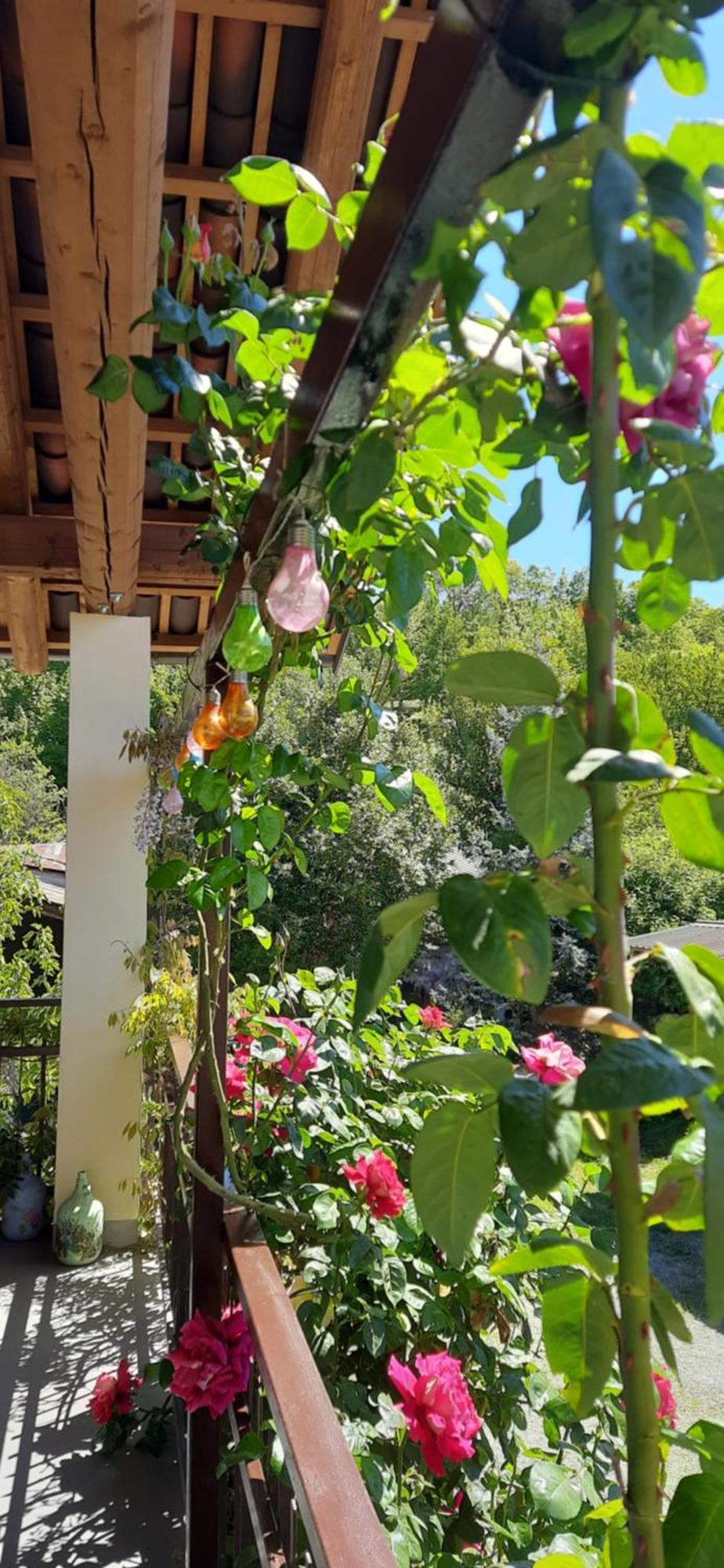 Il Giardino Del Gallo Cherasco Exterior foto