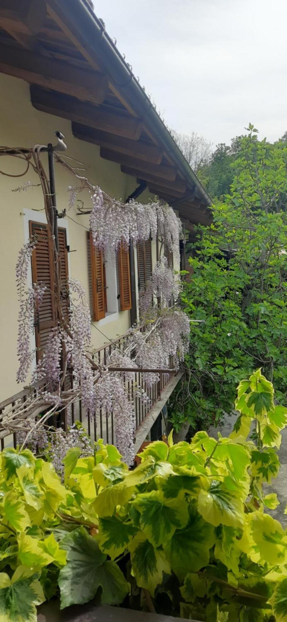 Il Giardino Del Gallo Cherasco Exterior foto
