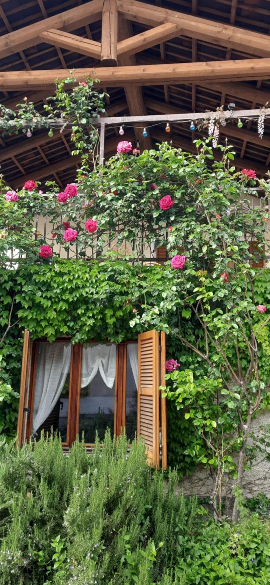 Il Giardino Del Gallo Cherasco Exterior foto
